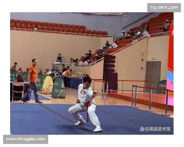 上海精武杯第27届中小幼学生武术比赛精彩纷呈拳术器械项目全方位展示 上海精武杯第27届中小幼学生武术比赛精彩纷呈拳术器械项目全方位展示
