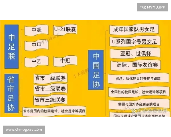 中超联赛推行管办分离体制由中足联全面负责运营管理